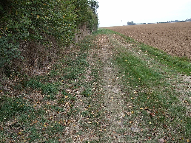 futur trail 017.jpg